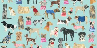 Olfateando Barcelona