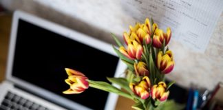 Sant Jordi virtual: 10 actividades para celebrarlo sin salir de tu casa