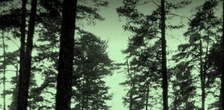 El Estocolmo de Stieg Larsson