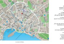 ‘Palma Lletraferida’ Palma Lletraferida