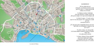 ‘Palma Lletraferida’ Palma Lletraferida