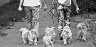 El abandono es delito