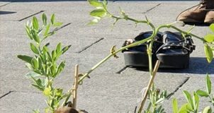 ‘Curación digital y género en las ciencias de la información: acceso y preservación’ Portada Digital curation and gender in information science