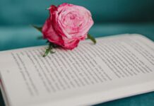 5 recursos para descubrir recomendaciones de libros 5 recursos