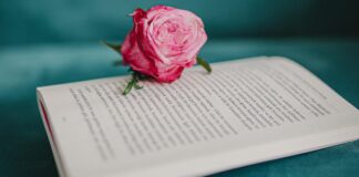 5 recursos para descubrir recomendaciones de libros 5 recursos