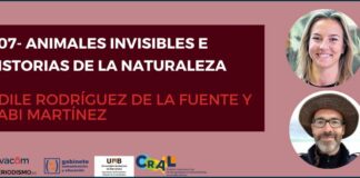 D07- Animales invisibles e historias de la naturaleza Animales invisibles