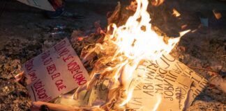 25N, Radiografia de la violència masclista al nostre país