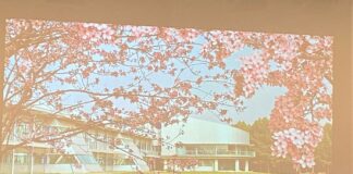 II Jornada AJE sobre la Divulgació Científica a la Facultat de Ciències de la Comunicació de la UAB