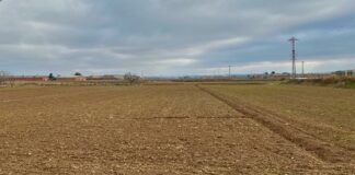 L’agricultura s’ofega en la sequera