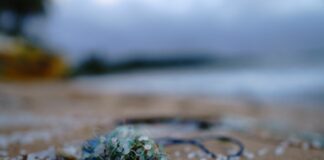 Los pellets invaden las costas gallegas La llegada de pellets a Galicia esta última semana està siendo un problema cada vez más grave y hay quien lo llega a tildar ya de "desastre natural"