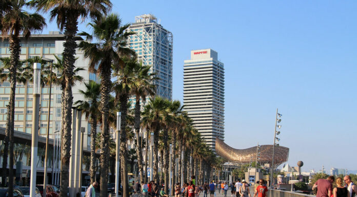 Els expatriats: una preocupació barcelonina a l’alça Passeig marítim de la Barceloneta. FOTO: flickr
