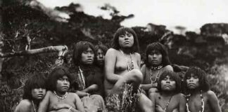 En riesgo de desaparición