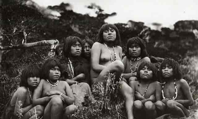 En riesgo de desaparición