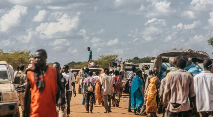 El viatge invisible: les rutes migratories del mediterràni