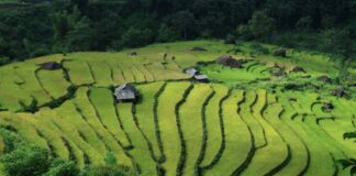 Tahina-Can anuncia Vietnam como destino de su expedición 2026