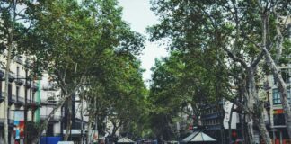 ¿Querrías vivir en Barcelona? O mejor dicho: ¿podrías?